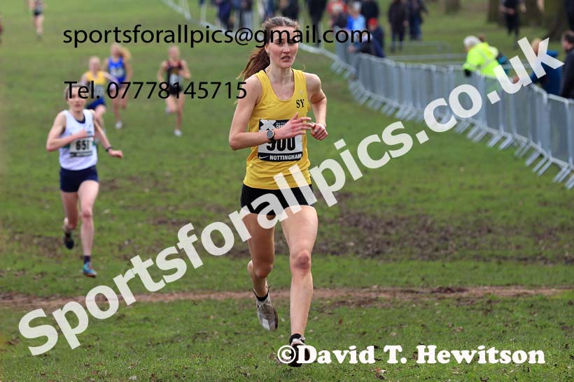 Senior Women, 2024 CAU Inter Counties Cross Country Champs., Wollaton Park, Nottingham. Photo: David T. Hewitson/Sports for All Pics